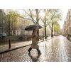 Зонт складной Regenfall, черный