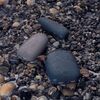 Внешний аккумулятор Pebble 7800 мАч, серый