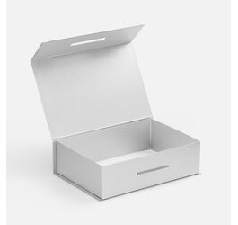 Коробка Case, серебристая