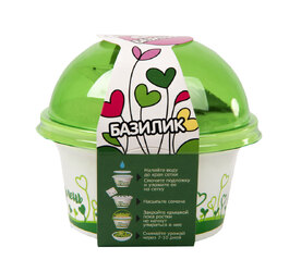 Комплект для выращивания. "Моя микрозелень": БАЗИЛИК