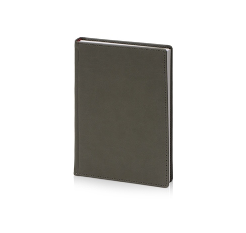 Ежедневник недатированный А5 «Velvet»