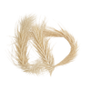 бежевый