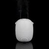 белый